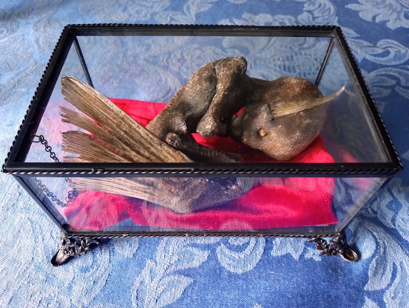 mermaidfetus1_w800h602