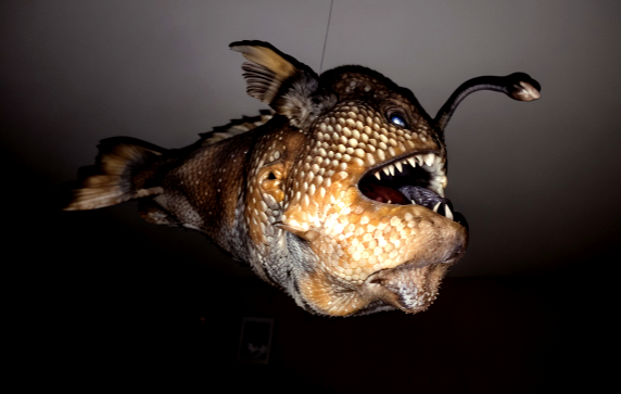 anglerfish_w572h363.jpg